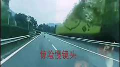 9.gif 图片