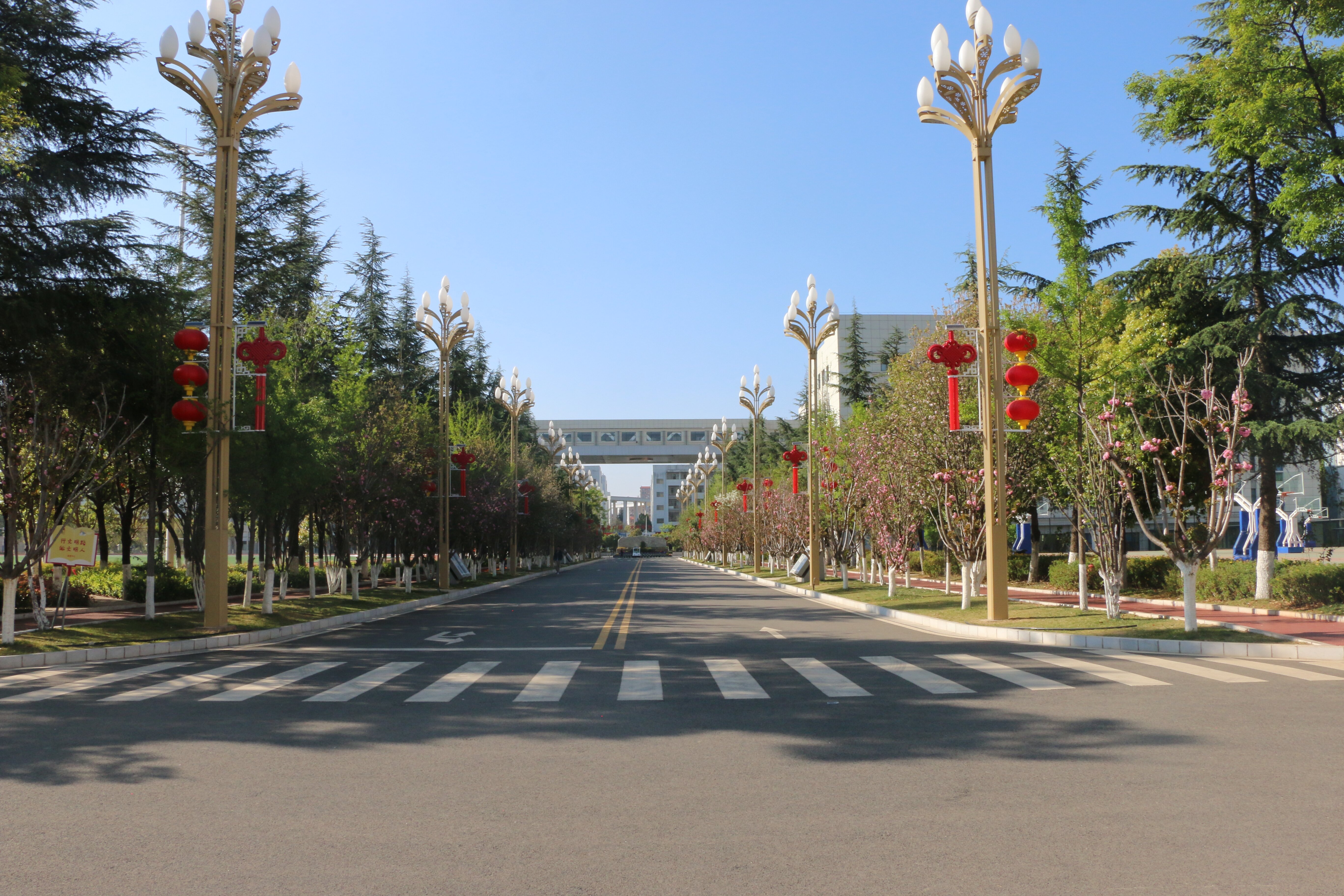 美丽校园